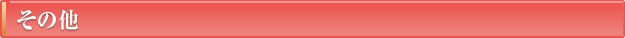 その他
